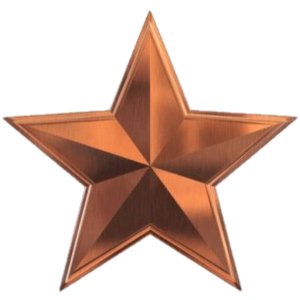 irish business websites hosting bronze